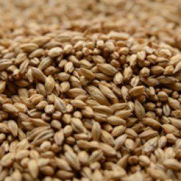 Dingemans Pale Ale Uncrushed Malt - 1 lb. Bag