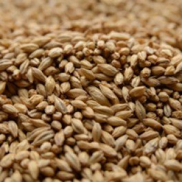 Dingemans Pale Ale Uncrushed Malt - 1 lb. Bag