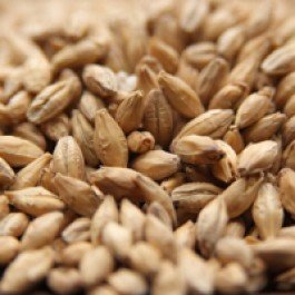 Swaen Pilsner Uncrushed Malt - 55 lb. Bag