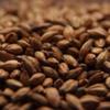 Crisp Brown Crushed Malt 5 lb view 1