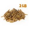 MBTP Bulk Dried Mealworms - Treats for Chickens & Wild Birds (2 Lbs) view 3