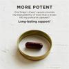 Solgar Full Spectrum Curcumin - 30 LiCaps, Pack of 3 - Superior Absorption - Brain, Joint & Immune Health - Vegan, Gluten Free, Non-GMO, Dairy Free - 90 Total Servings view 4