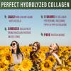 Perfect Supplements  Unflavored Hydrolyzed Collagen Powder for Men and Women - Collagen Peptides - Mix in Hot Cold Liquids, Grass Fed, Easy Absorption, 660 Grams view 4