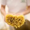 Rustichella D' Abruzzo Zucca Di Fior Pumpkin Torchio Pasta 500 Grams (1.1 Lb) view 4