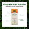 Flora - Udo's Choice Omega 369 Oil Blend, Made with Organic Flax, Sesame & Sunflower Seed Oils, Plant-Based Vegan Omega Fatty Acids, Based on Ideal 2:1:1 Ratio, 17-fl, oz. Glass Bottle view 4