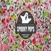 Spooky Halloween Lollipops, Nut Free Candy, 880 Count - Bulk 15 lb. Carton by Candy Creek view 3