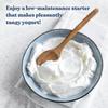 Cultures for Health Traditional Yogurt Starter Culture | 4 Packets Direct-Set Thermophilic Starter | Make Up To 12 Cups Thick, Tangy Probiotic Yogurt | Powdered Live Active Cultures for Yogurt Making view 3