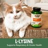 NOW Pet Health, L-Lysine Supplement, Powder, Formulated for Cats, NASC Certified, 8-Ounce view 4