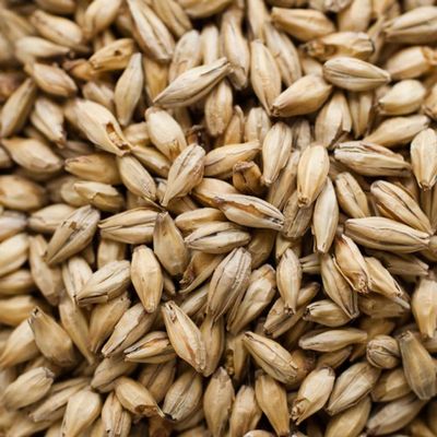Briess 2-Row Caramel 40L Malt - 1 LB, Uncrushed