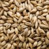 Briess 2-Row Caramel 40L Malt - 1 LB, Uncrushed view 1