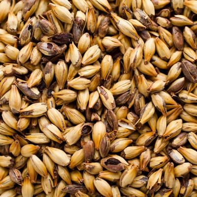 Briess 2-Row Caramel 80L Malt - 1 LB, Uncrushed