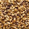 Briess 2-Row Caramel 80L Malt - 1 LB, Uncrushed view 1