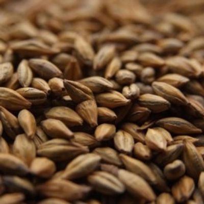 Crisp Amber Malt - 1 LB, Uncrushed