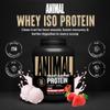Animal Whey Isolate Protein Powder - Loaded for Pre & Post Workout Muscle Builder and Recovery with Digestive Enzymes for Men & Women - 25g Protein, Great Taste, Low Sugar - Strawberry 4 lbs view 2
