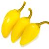 10 Seeds Yellow Jalapeno Pepper - A Rich Source of Vitamin-c!! Great Producer!! view 1