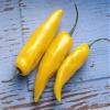 10 Seeds Yellow Jalapeno Pepper - A Rich Source of Vitamin-c!! Great Producer!! view 3