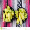 10 Seeds Yellow Jalapeno Pepper - A Rich Source of Vitamin-c!! Great Producer!! view 4