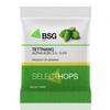 BSG Hops Tettnang Hop Pellets 1 oz. view 1