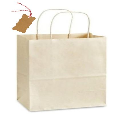 15 USA Beige White Large Kraft Paper Bags (13" Tall x 10" Wide x 5" Gusset) (OAT)