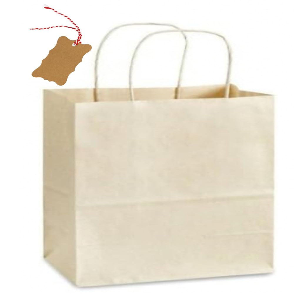 15 USA Beige White Large Kraft Paper Bags (13" Tall x 10" Wide x 5" Gusset) (OAT)