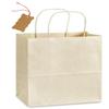 15 USA Beige White Large Kraft Paper Bags (13" Tall x 10" Wide x 5" Gusset) (OAT) view 1