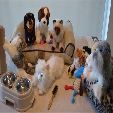 Activity Pet Shop Party with 8 Memorable Pets- for Memory Care Centers and Caregivers