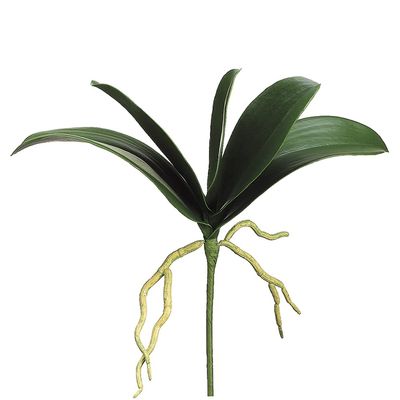 12" Phalaenopsis Orchid Leaf Plant Green (Pack of 12)