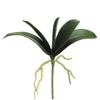 12" Phalaenopsis Orchid Leaf Plant Green (Pack of 12) view 1