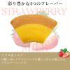 Ginza fruit kuchen (Ginza fruit kuchen B (16 pieces)) view 4
