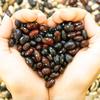 Beanitos Black Bean Chips with Sea Salt, The Healthy, High Protein, Gluten free, and Low Carb Vegan Tortilla Chip Snack, 5 Ounce A Lean Bean Protein Machine for Superfood Snacking At Its Best view 4
