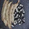 200 Black Calypso Beans(Phaseolus vulgaris) known as Yin/Yang bean,organic view 2