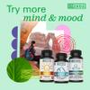 Zhou Energy + Focus - L Theanine Caffeine Pills, 200mg L-Theanine, 100mg Natural Anhydrous Caffeine Boost for Adults, Men & Women, Slow Extended Release - 60 Vegetarian Capsules (Pack of 1) view 4