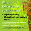 Kalawalla Organic Hope with Polypodium Leucotomos for Immune System Support, Highest Potency 50:1 Extract Ratio 400mg. (3 Pack - 360 Veggie Caps) Save $12 view 4