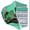 NuGo Dark Mint Chocolate Chip, 50 g Bars (Pack of 12) by NuGo view 4