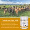 Hi Well Premium Grass-Fed Colostrum Gold Milk 200Tablets view 4