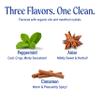 Dr. Bronners All-One Toothpaste 3-Pack Variety (Peppermint, Cinnamon, Anise, 5oz Each) 70% Organic Ingredients, SLS Free Toothpaste, Fluoride Free, Natural, Vegan, Gentle for Sensitive Teeth view 4