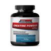 Sport Supplements Best Creatine Powder - Creatine Powder 100mg - Creatine Powder to Increase Energy and Stamina (1 Bottle) view 1