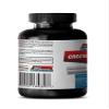 Sport Supplements Best Creatine Powder - Creatine Powder 100mg - Creatine Powder to Increase Energy and Stamina (1 Bottle) view 3