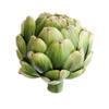 4"HX4"W Artichoke Green (Pack of 4) view 1