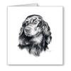 DJ Rogers Fine Art Gordon Setter - Set of 10 Dog Note Cards With Envelopes view 1