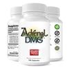 Adrenal DMG - 180 Capsules - Support Daytime Energy, Better Sleep, Immune System, Reduce Stress Levels, and Fatigue - All Natural Supplement view 3