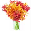 DELIVERY by Fri, 02/09 Guaranteed IF Order Placed by 02/08 Before 2PM EST.KaBloom Valentine's PRIME NEXT DAY DELIVERY - Phoenix Rising Red and Yellow Mokara Orchids (10 Stems) - With Vase view 1