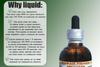 Hawaii Pharm Myrrh Liquid Extract, Organic Myrrh (Commiphora myrrha) Tincture Herbal Supplement, Made in USA, 4 fl.oz view 4