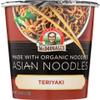 Dr. McDougall's, Asian Noodles, Teriyaki, 1.9 oz (53 g)(pack of 3) view 1
