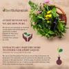 Best Botanicals Ginkgo Leaf Powder 4 oz. view 3