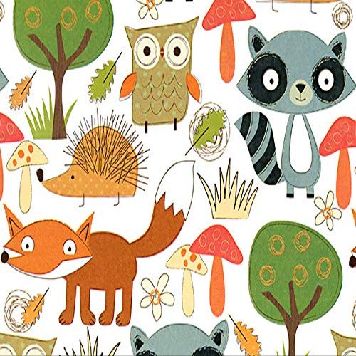 Special Purchase Counter Rolls - Forest Friends 24"x417' Gift Wrap Counter Roll (1 roll) - Wraps -AP199H24