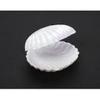 12 Medium Plastic Shell Candy Boxes Favors White 2.5 Inches Diameter view 2