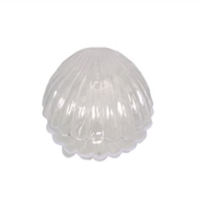 12 Medium Plastic Shell Candy Boxes Favors Clear 2.5 Inch Diameter
