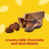 Raisinets, Milk Chocolate Covered California Raisins, 8.0 oz Resealable Bag, Bulk 8 pack view 2