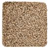Briess 2-Row Distiller's Malt 2.4L - 10 lb (1880B)